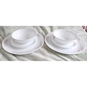 Vintage Corelle Silk Bottoms Dinnerware (Serving For 2)